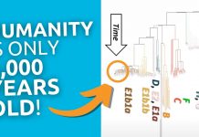 Gud skapte mennesket – om DNA