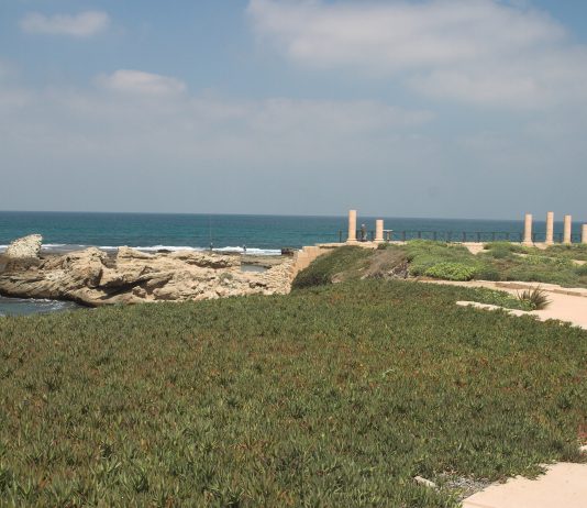 Landshøvdingen Festus