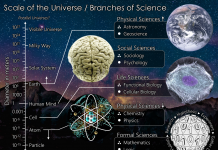 Bibelen og vitenskap