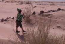 Stoppesteder på ørkenvandringen – 21 Harada